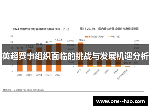 英超赛事组织面临的挑战与发展机遇分析