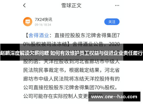 赵鹏深度解读欠薪问题 如何有效维护员工权益与促进企业责任履行 赵鹏深度解读欠薪问题 如何有效维护员工权益与促进企业责任履行