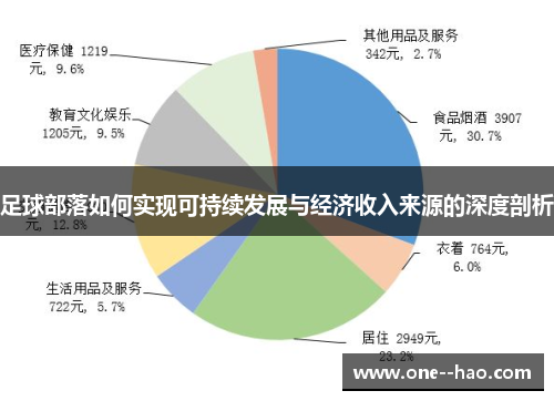 足球部落如何实现可持续发展与经济收入来源的深度剖析