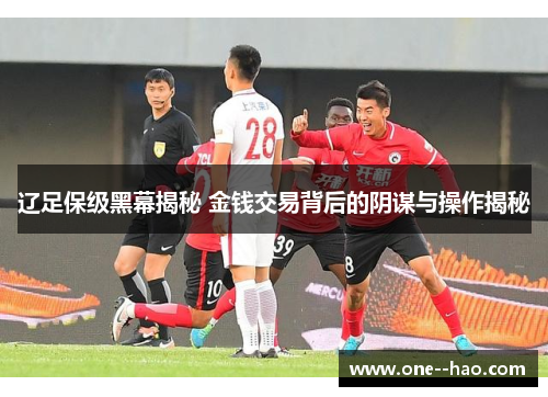 辽足保级黑幕揭秘 金钱交易背后的阴谋与操作揭秘